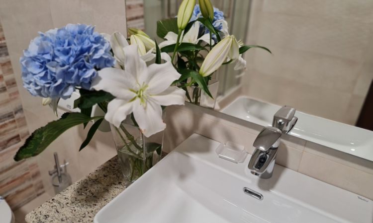 Premium rooms with balcony