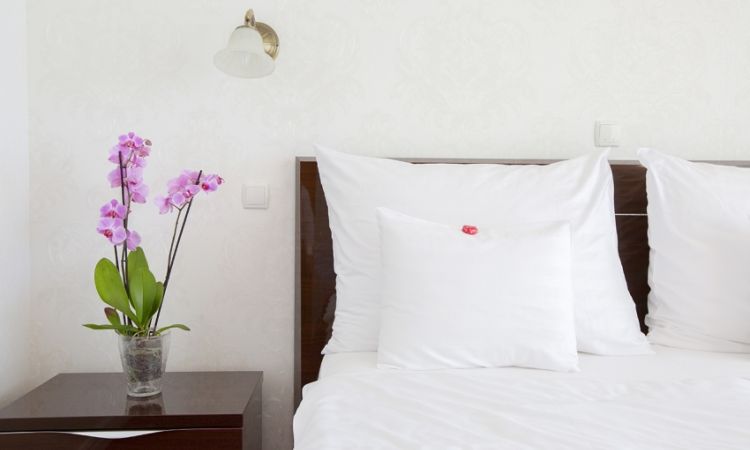 Exclusive suties up to 7