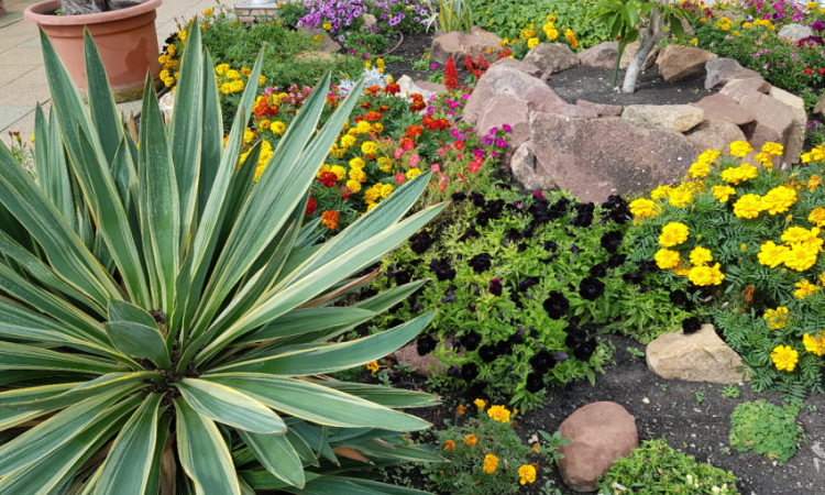 Exceptional location, immence panorama