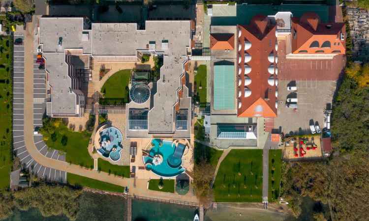 Flamingó felülnézet