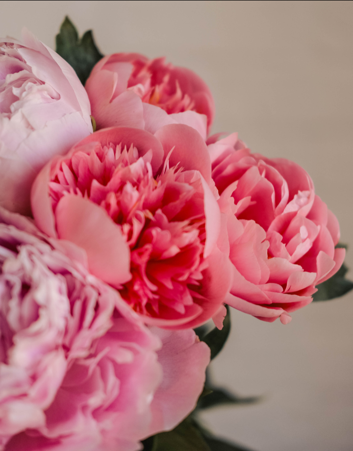 Pünkösd-hétvégi pihenés