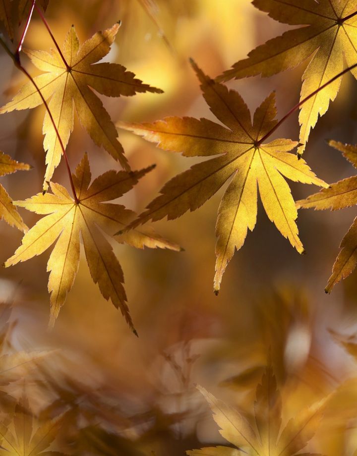 Autumn relax and special offers